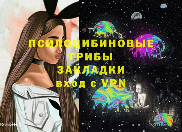 стаф Алексин