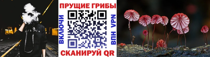 Галлюциногенные грибы прущие грибы  блэк спрут сайт  Белореченск 