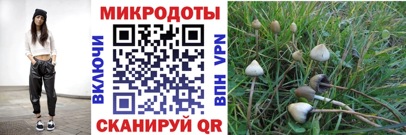 Галлюциногенные грибы GOLDEN TEACHER Белореченск