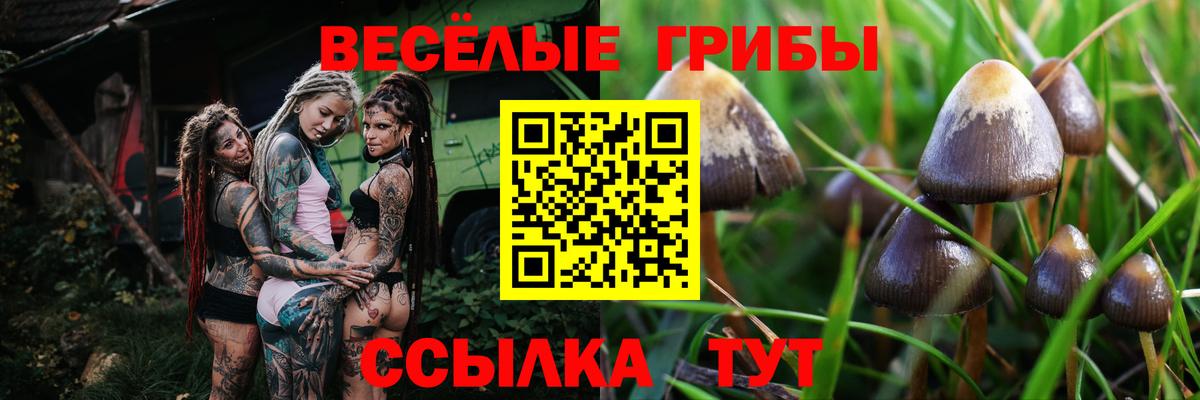 Галлюциногенные грибы Cubensis  Псилоцибиновые грибы мухоморы  Белореченск  Вход с VPN 